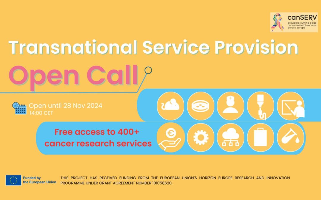 Third Open Call on Transnational Service Provision is OPEN