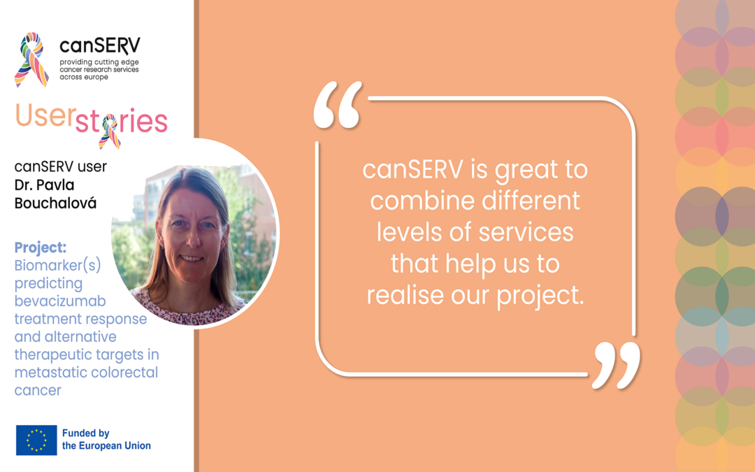 canSERV User Stories